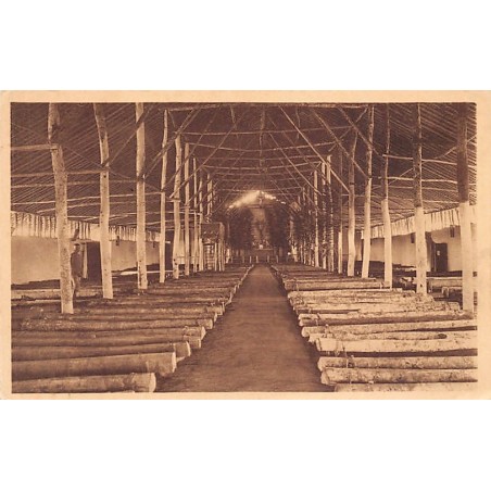 Rare collectable postcards of Cameroon. Vintage Postcards of Cameroon