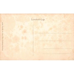 Rare collectable postcards of HUNGARY. Vintage Postcards of HUNGARY