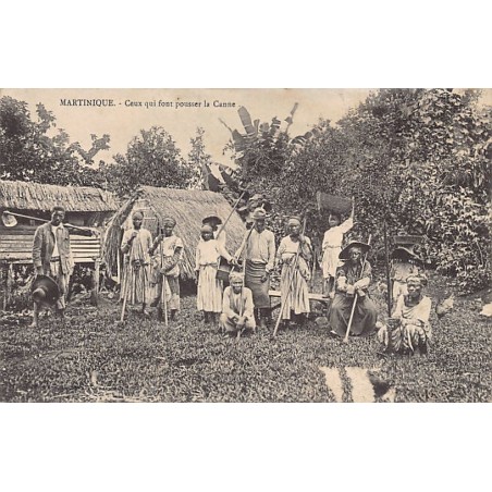 Rare collectable postcards of Martinique. Vintage Postcards of Martinique