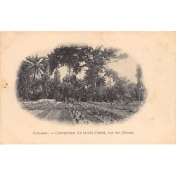 Rare collectable postcards of Guinea (Conakry). Vintage Postcards of Guinea (Conakry)