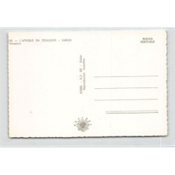 Rare collectable postcards of Senegal. Vintage Postcards of Senegal