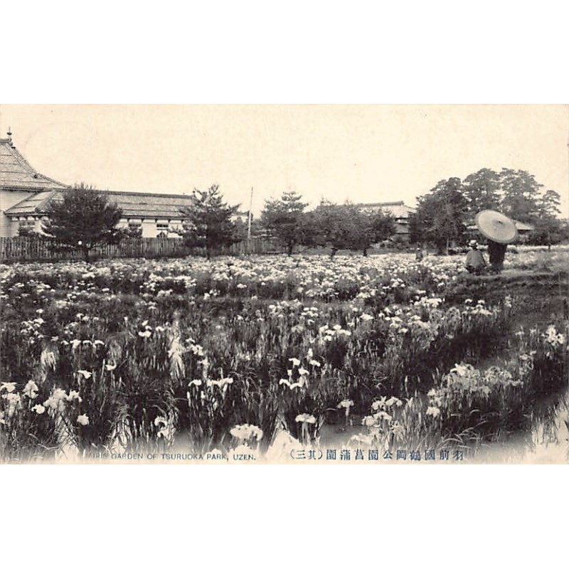 Rare collectable postcards of Japan. Vintage Postcards of Japan