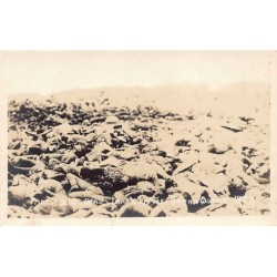 Rare collectable postcards of Japan. Vintage Postcards of Japan