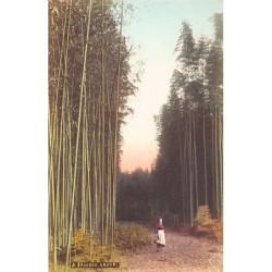 Rare collectable postcards of Japan. Vintage Postcards of Japan