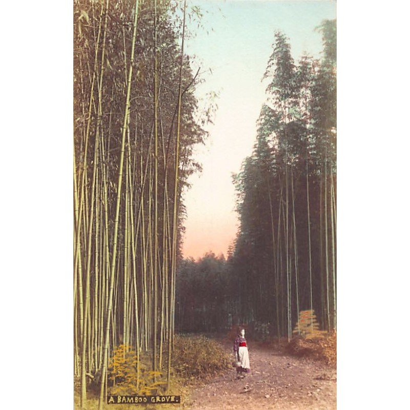 Rare collectable postcards of Japan. Vintage Postcards of Japan