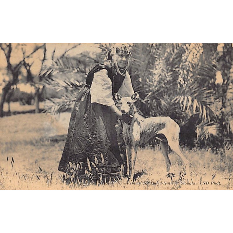 Rare collectable postcards of Algeria. Vintage Postcards of Algeria