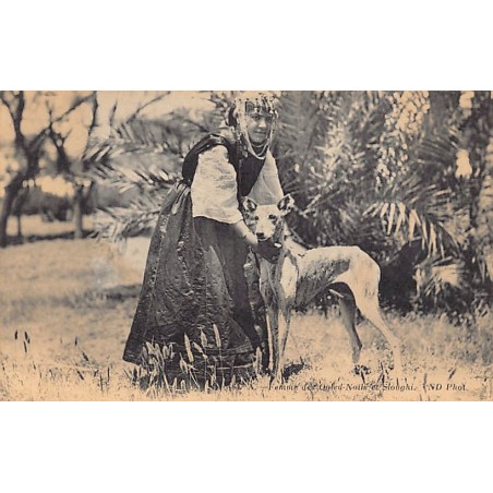 Rare collectable postcards of Algeria. Vintage Postcards of Algeria