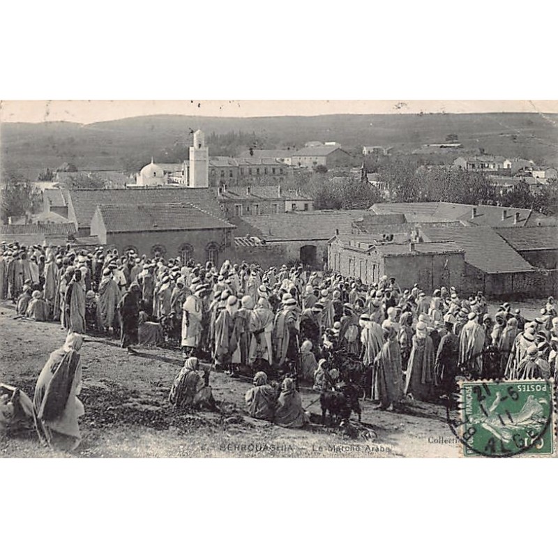 Rare collectable postcards of Algeria. Vintage Postcards of Algeria