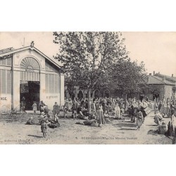 Rare collectable postcards of Algeria. Vintage Postcards of Algeria