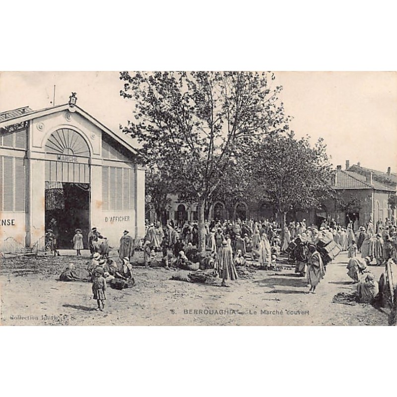 Rare collectable postcards of Algeria. Vintage Postcards of Algeria