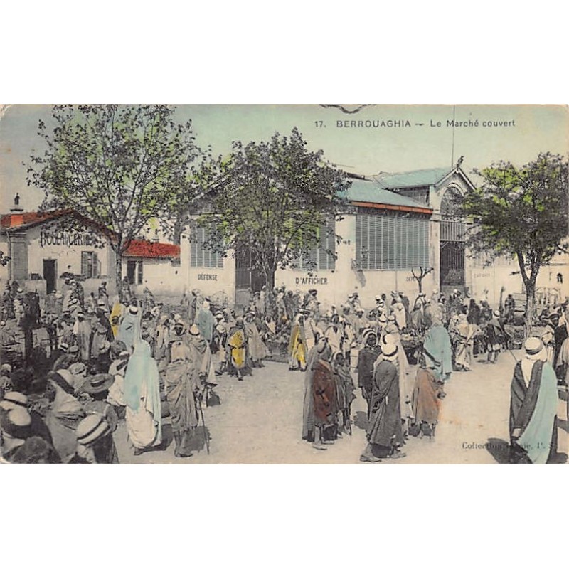 Rare collectable postcards of Algeria. Vintage Postcards of Algeria