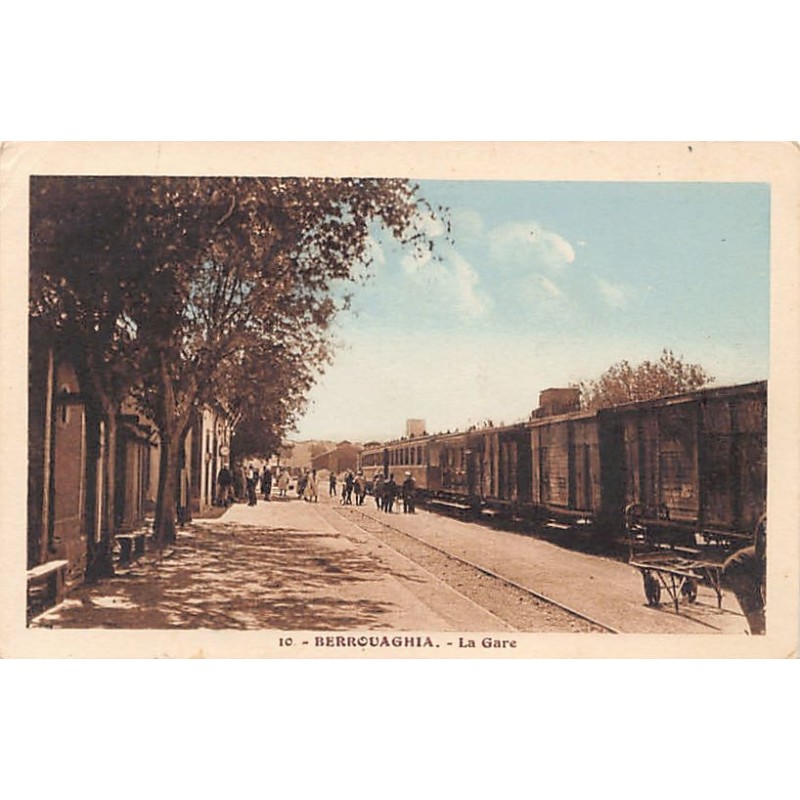 Rare collectable postcards of Algeria. Vintage Postcards of Algeria