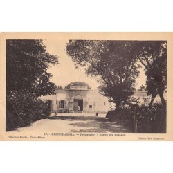 Rare collectable postcards of Algeria. Vintage Postcards of Algeria