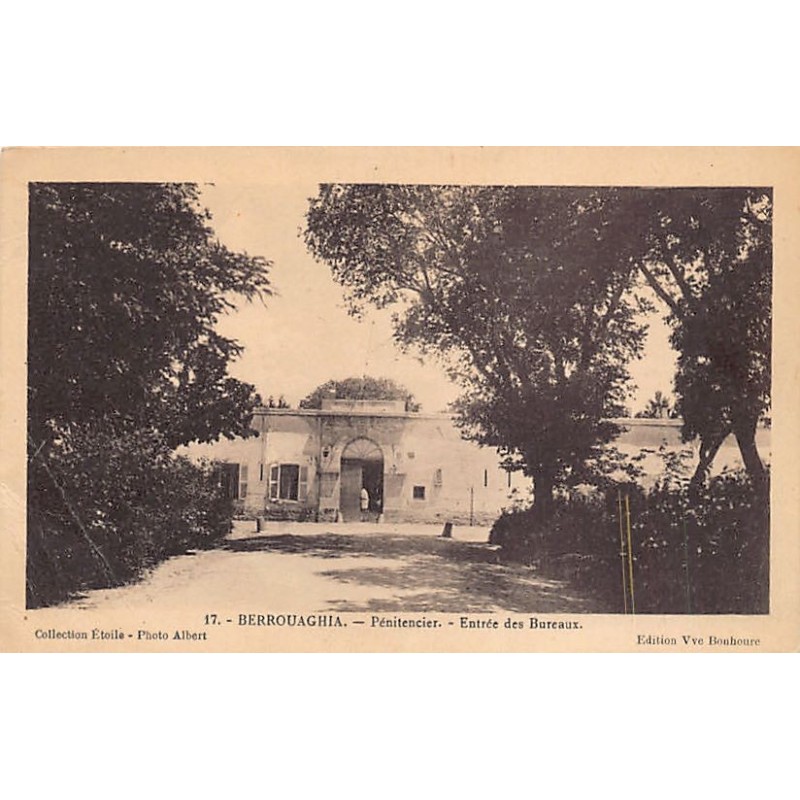 Rare collectable postcards of Algeria. Vintage Postcards of Algeria