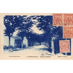 Rare collectable postcards of Algeria. Vintage Postcards of Algeria