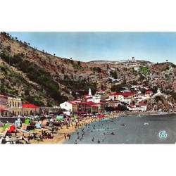 Rare collectable postcards of Algeria. Vintage Postcards of Algeria