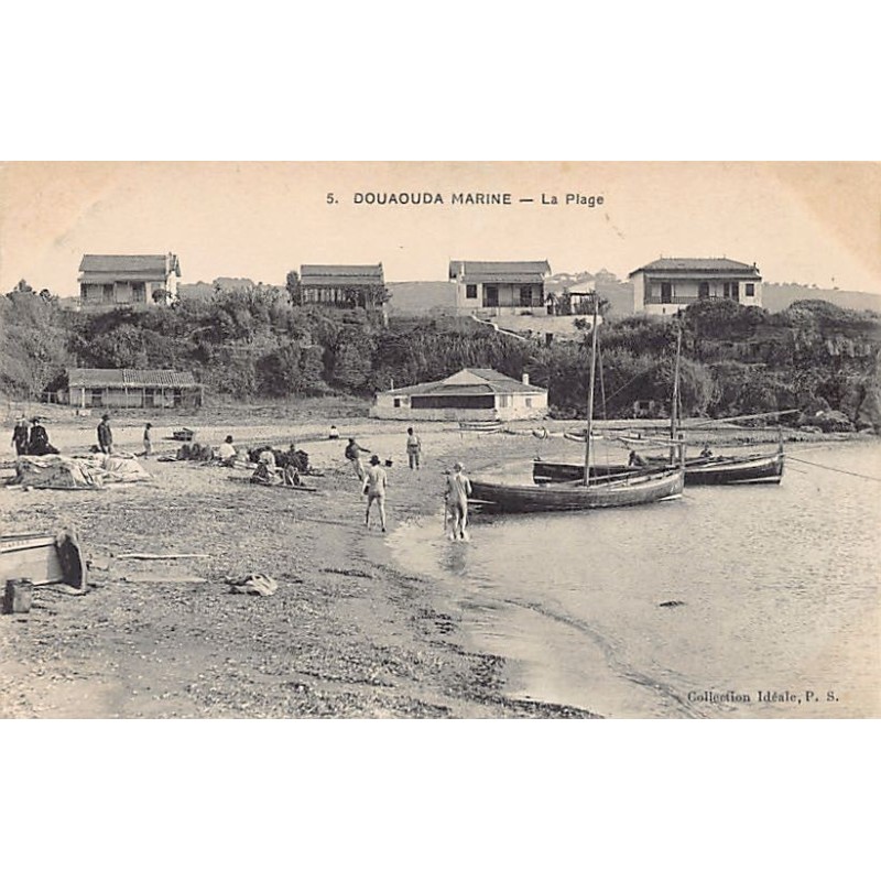 Rare collectable postcards of Algeria. Vintage Postcards of Algeria