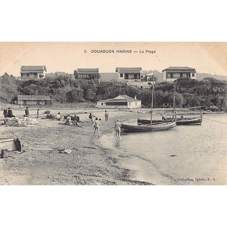 Rare collectable postcards of Algeria. Vintage Postcards of Algeria