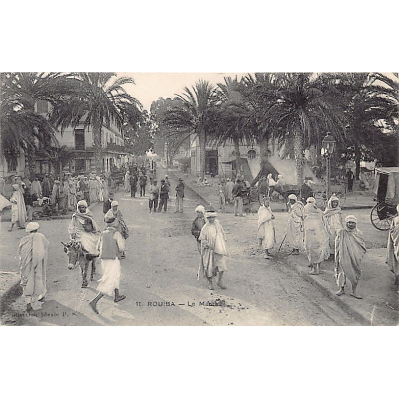 Rare collectable postcards of Algeria. Vintage Postcards of Algeria
