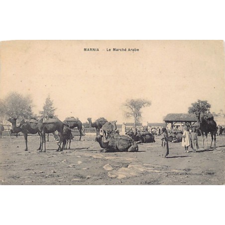 Rare collectable postcards of Algeria. Vintage Postcards of Algeria