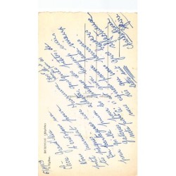 Rare collectable postcards of Algeria. Vintage Postcards of Algeria