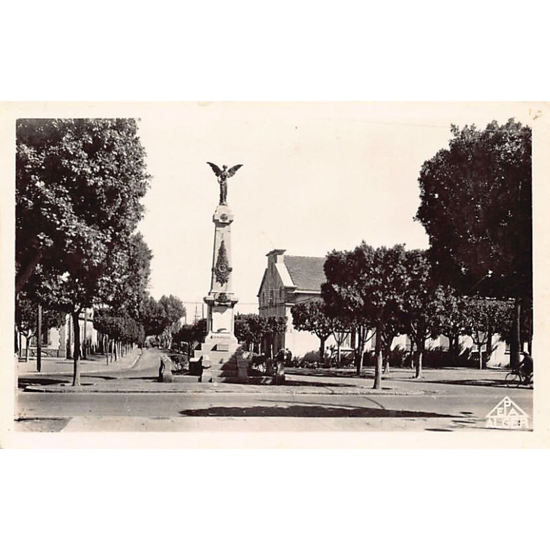 Rare collectable postcards of Algeria. Vintage Postcards of Algeria