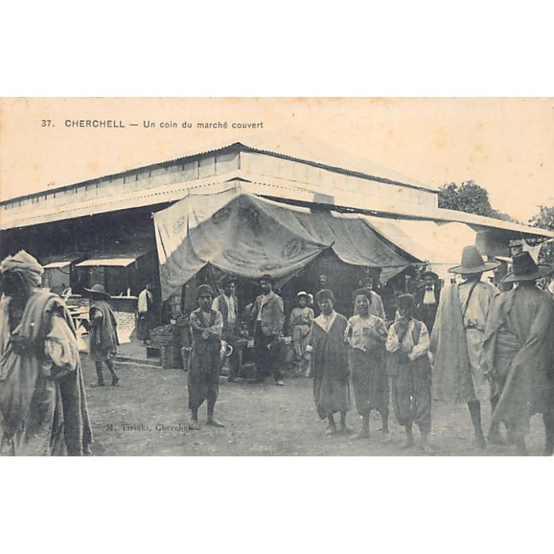 Rare collectable postcards of Algeria. Vintage Postcards of Algeria