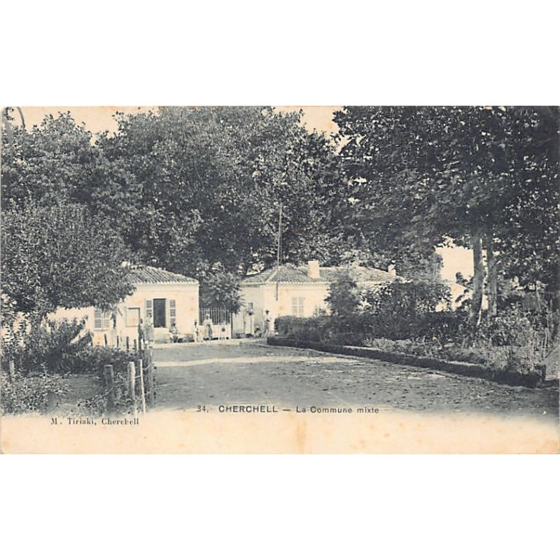 Rare collectable postcards of Algeria. Vintage Postcards of Algeria