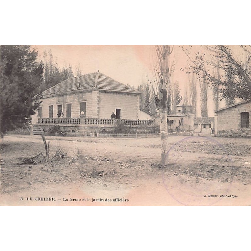 Rare collectable postcards of Algeria. Vintage Postcards of Algeria