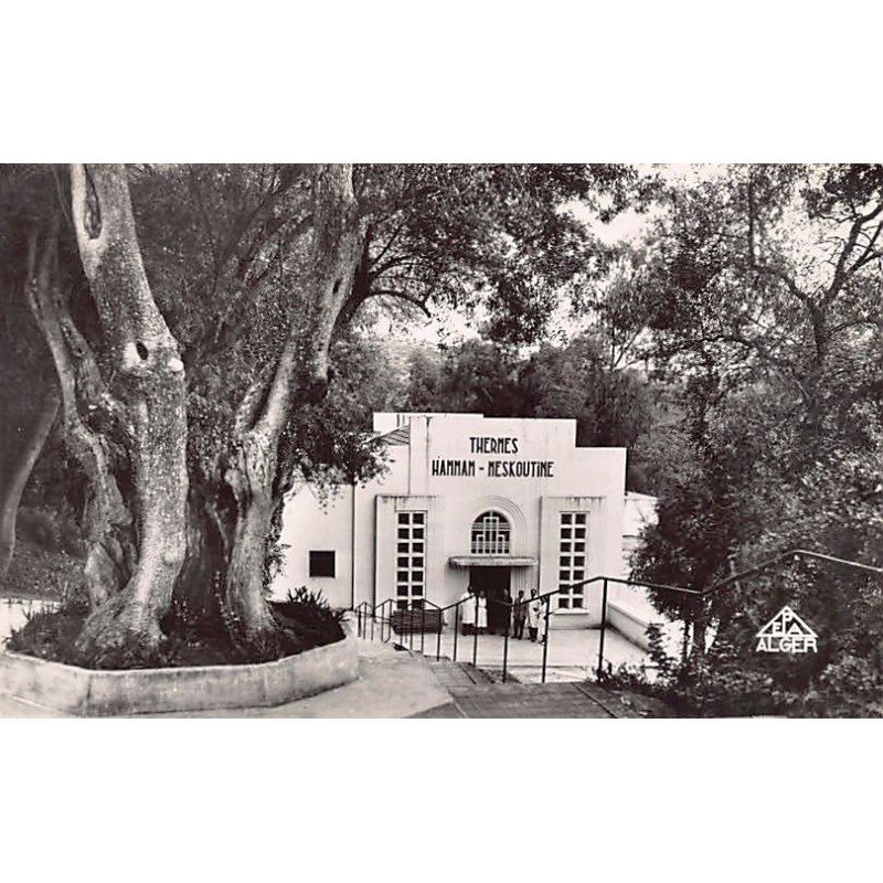 Rare collectable postcards of Algeria. Vintage Postcards of Algeria