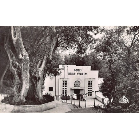 Rare collectable postcards of Algeria. Vintage Postcards of Algeria