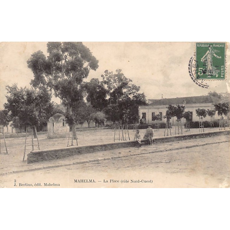 Rare collectable postcards of Algeria. Vintage Postcards of Algeria