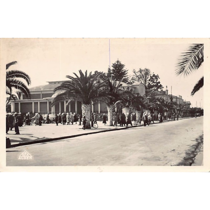 Rare collectable postcards of Algeria. Vintage Postcards of Algeria