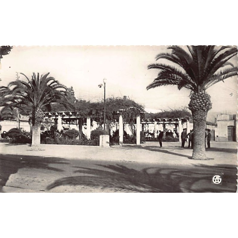 Rare collectable postcards of Algeria. Vintage Postcards of Algeria