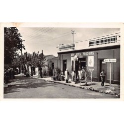 Rare collectable postcards of Algeria. Vintage Postcards of Algeria