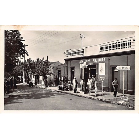 Rare collectable postcards of Algeria. Vintage Postcards of Algeria