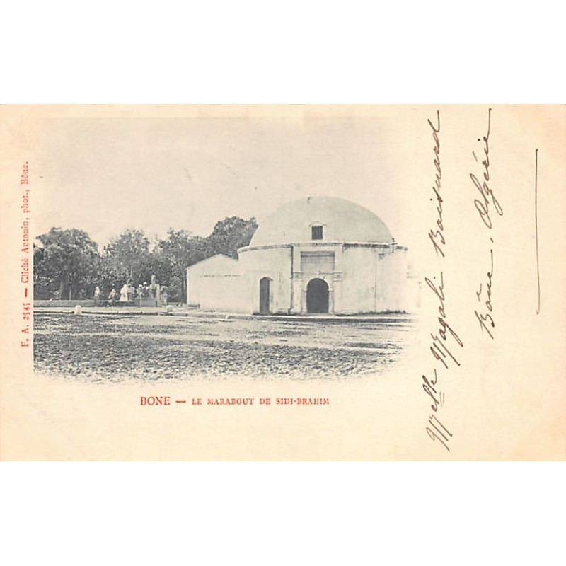 Rare collectable postcards of Algeria. Vintage Postcards of Algeria