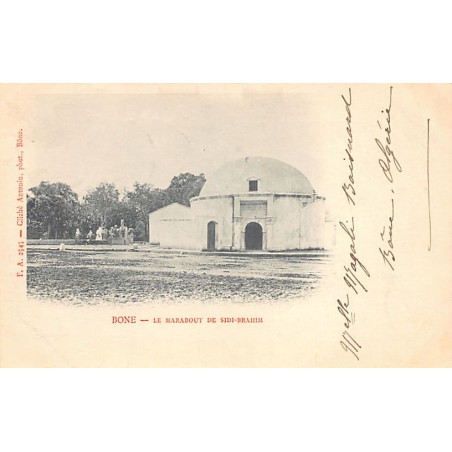 Rare collectable postcards of Algeria. Vintage Postcards of Algeria