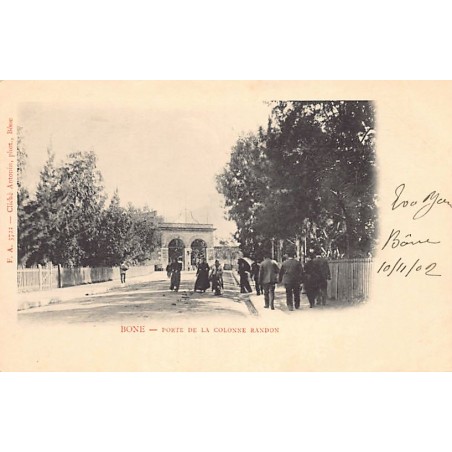 Rare collectable postcards of Algeria. Vintage Postcards of Algeria