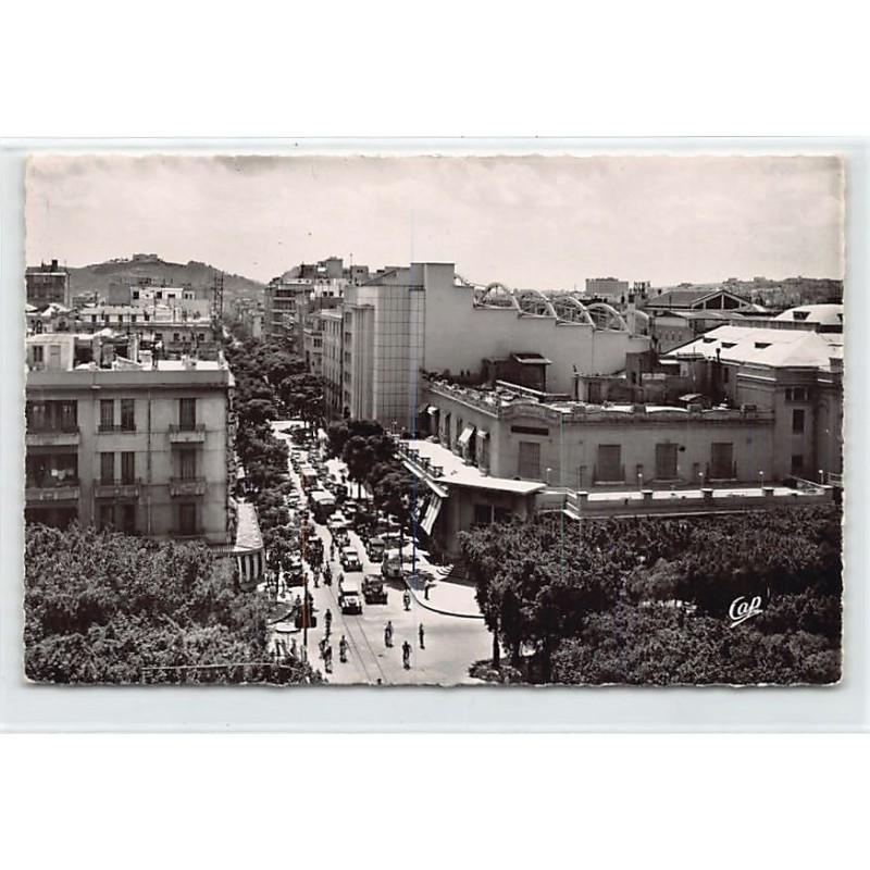 Rare collectable postcards of Tunisia. Vintage Postcards of Tunisia