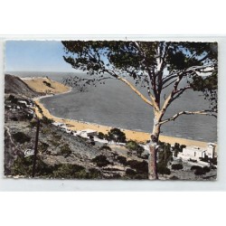 Rare collectable postcards of Tunisia. Vintage Postcards of Tunisia