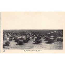 Rare collectable postcards of Tunisia. Vintage Postcards of Tunisia