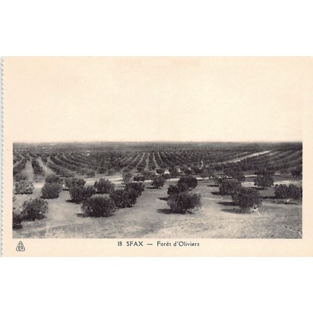 Rare collectable postcards of Tunisia. Vintage Postcards of Tunisia