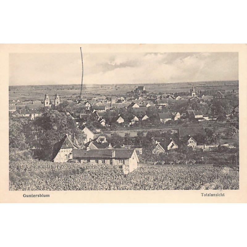 Rare collectable postcards of Germany. Vintage Postcards of Germany