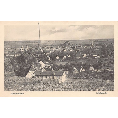 Rare collectable postcards of Germany. Vintage Postcards of Germany