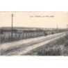 Rare collectable postcards of Germany. Vintage Postcards of Germany