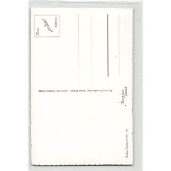 Rare collectable postcards of Germany. Vintage Postcards of Germany
