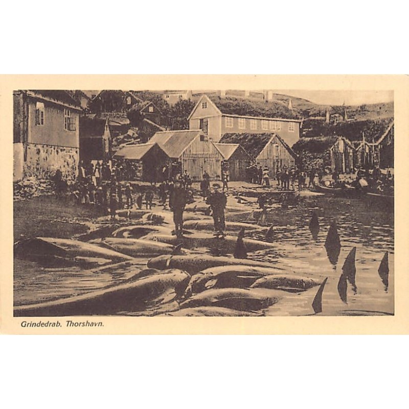 Rare collectable postcards of Faroe Islands. Vintage Postcards of Faroe Islands