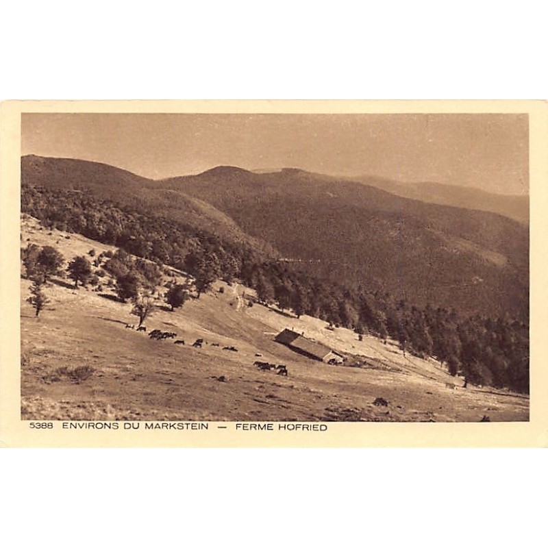 Rare collectable postcards of FRANCE. Vintage Postcards of FRANCE