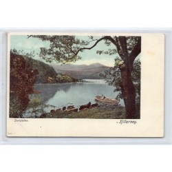 Rare collectable postcards of IRELAND. Vintage Postcards of IRELAND